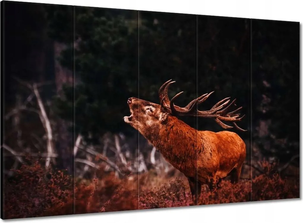 Vászonkép 100x70 Szarvas az erdőben