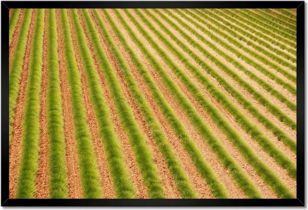 Poszterek keretben 60x40 Zöld Provence