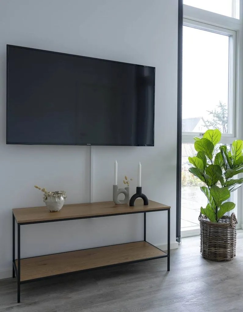 Műnövény, lantlevelű fikusz, 100 cm - FICUS
