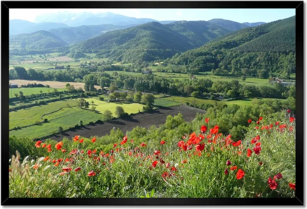 Poszterek keretben 60x40 Virágos kilátás a hegyekben