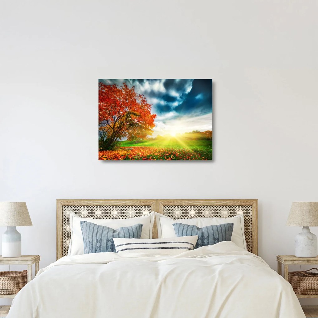 Napsütésben fürdő táj képe (üvegen) (70x50 cm)