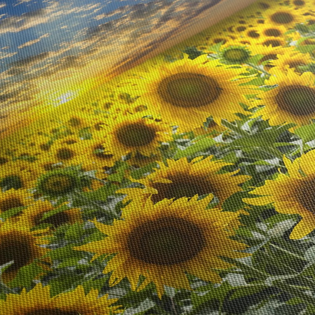 Kép - Napraforgók naplementében (120x50 cm)