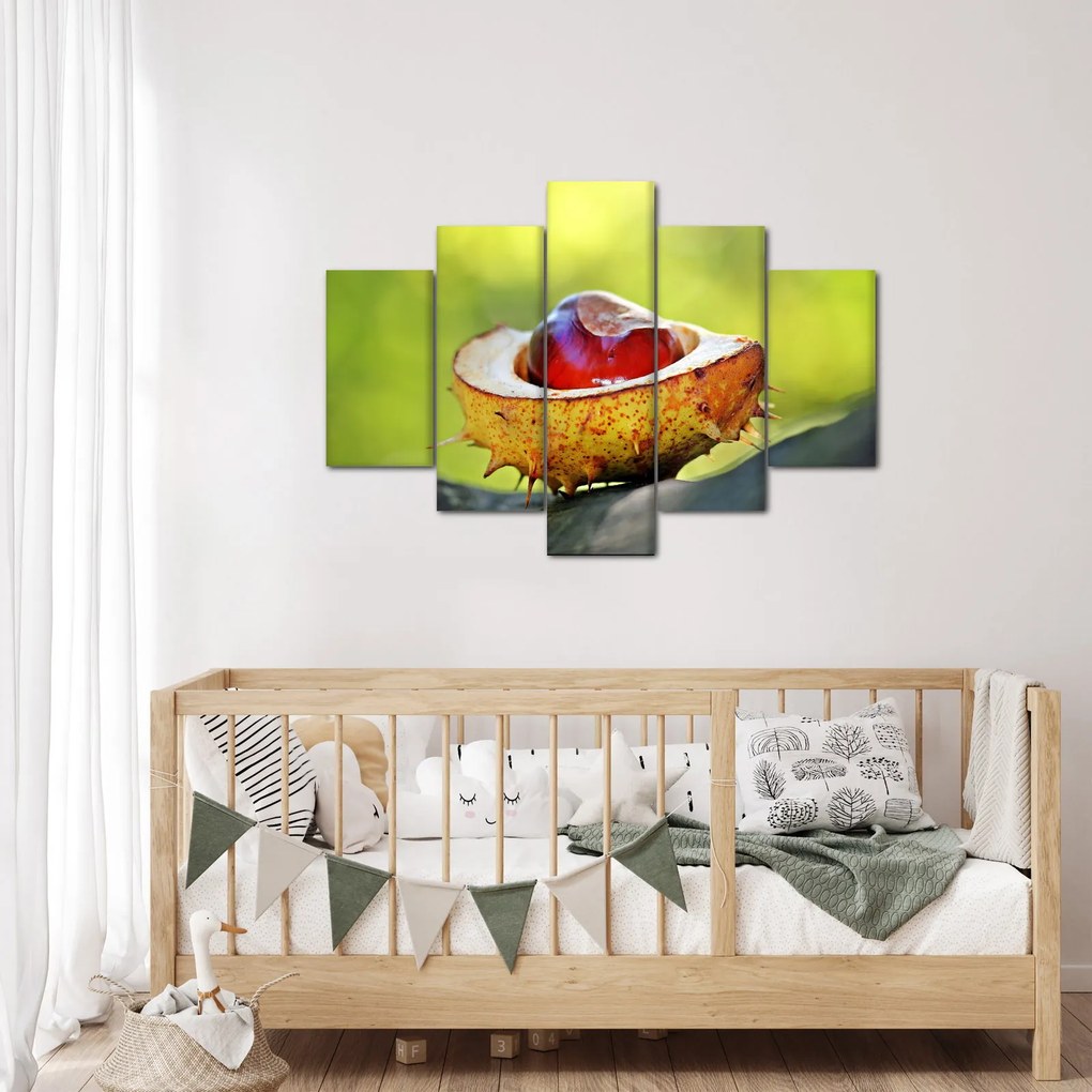 Gesztenye képe (150x105 cm)