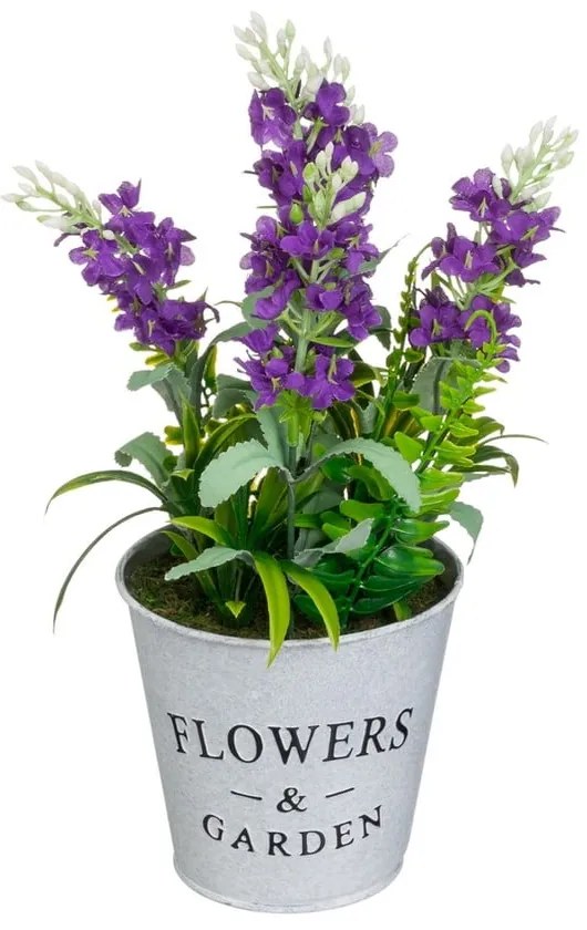 Levendula műnövény (magasság 30 cm) Lavender – Casa Selección