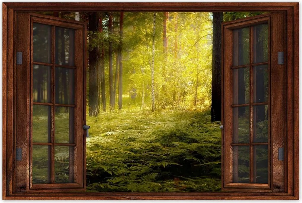 Poszterek 60x40 Napfelkelte az erdőben