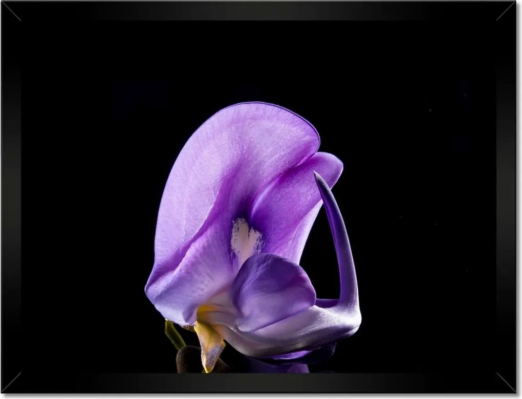 Poszterek keretben 40x30 Nőnap Ajándék Love