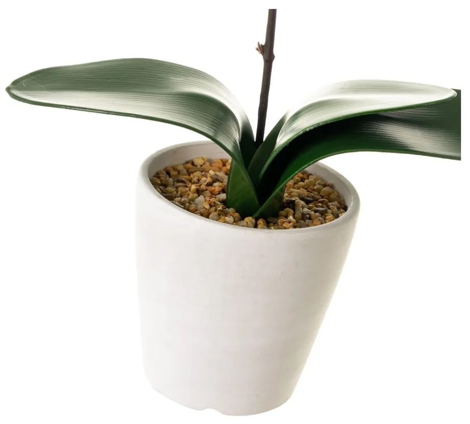 Műnövény (magasság 45 cm) Orchid – Casa Selección