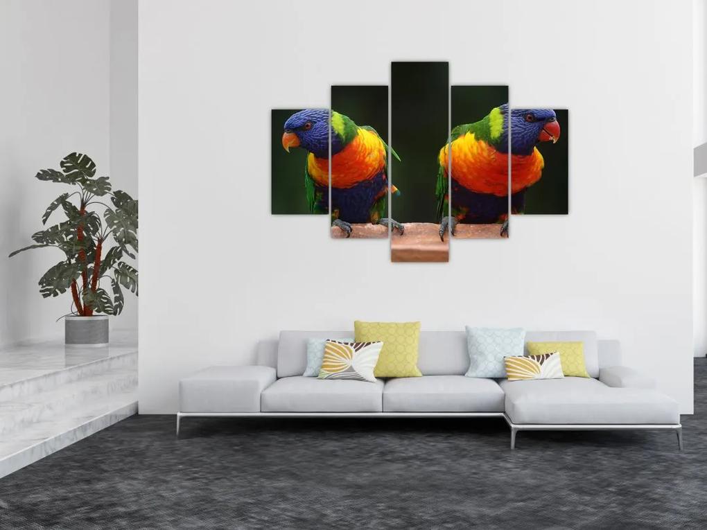 Papagájok képe (150x105 cm)