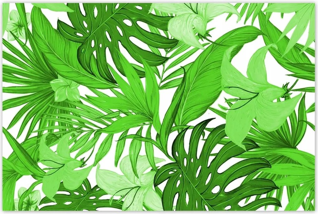 Poszterek 120x80 Leaves Monstera New look