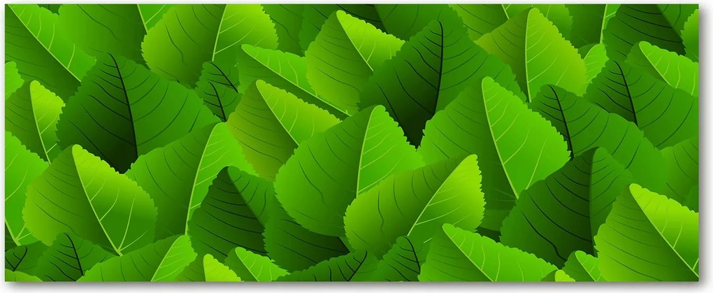 Védő üveg konyhai panel Zöld levelek XXL