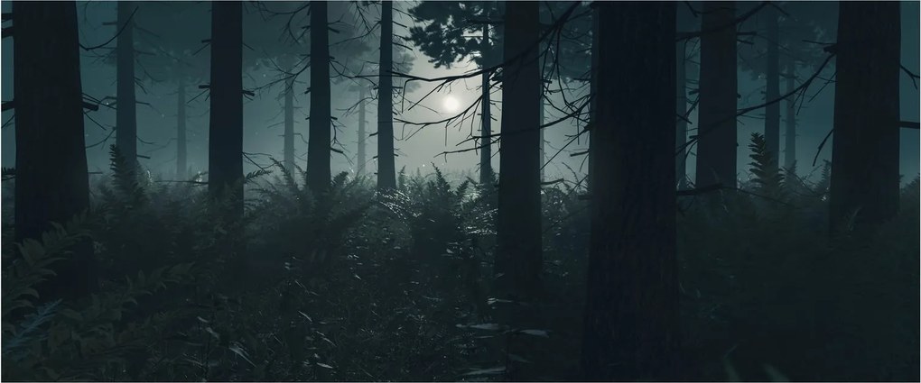 Kép - Páfrányok a holdfényben (120x50 cm)