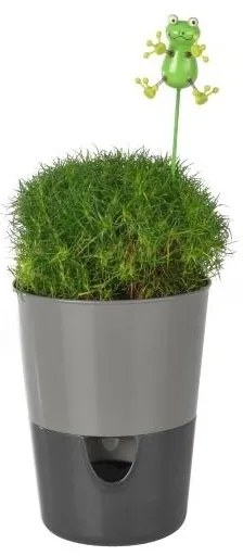Plastia Rosmarin öntöző virágtartó, szürke