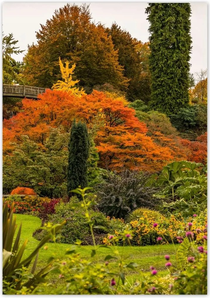 Poszterek 70x100 Híd Építészet Tájkép