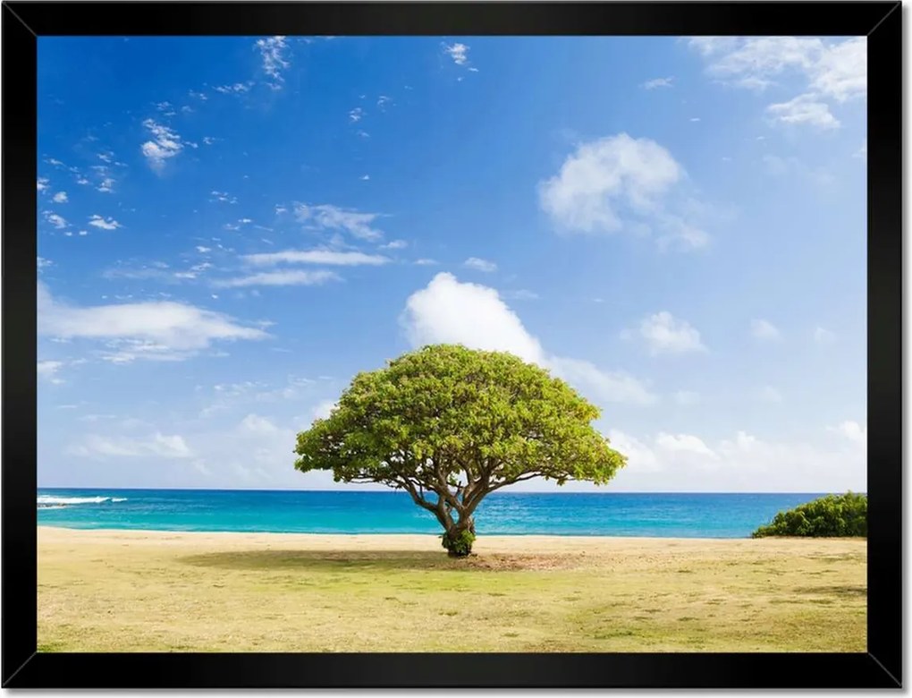 Poszterek keretben 40x30 Tájkép fával