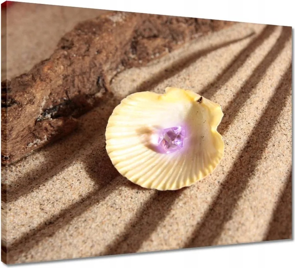 Vászonkép 50x40 Kagyló a tengerparton