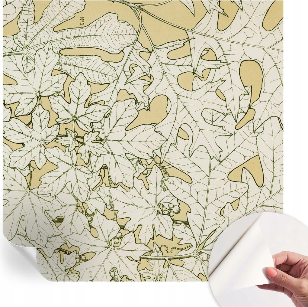 Design fali fotótapéta Öntapadós falevelek 250x250 cm