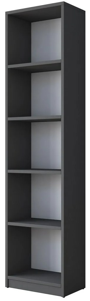 Hale Anthracite könyvtár
