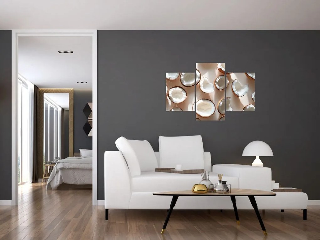 Kép - Kókuszdiók (90x60 cm)