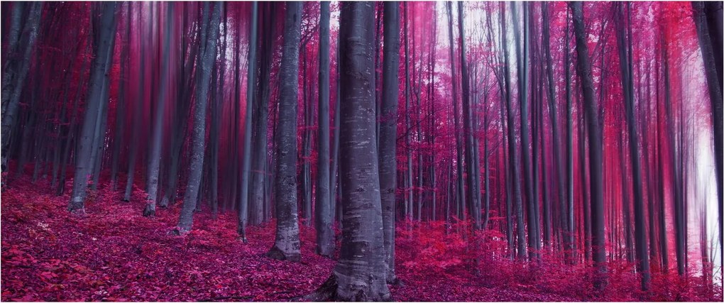 Egy rózsaszín erdő képe (120x50 cm)