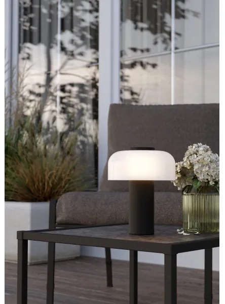 Eglo 900984 - LED Dimmelhető kültéri lámpa PONENTE 2,25W/5V IP44 fekete/fehér