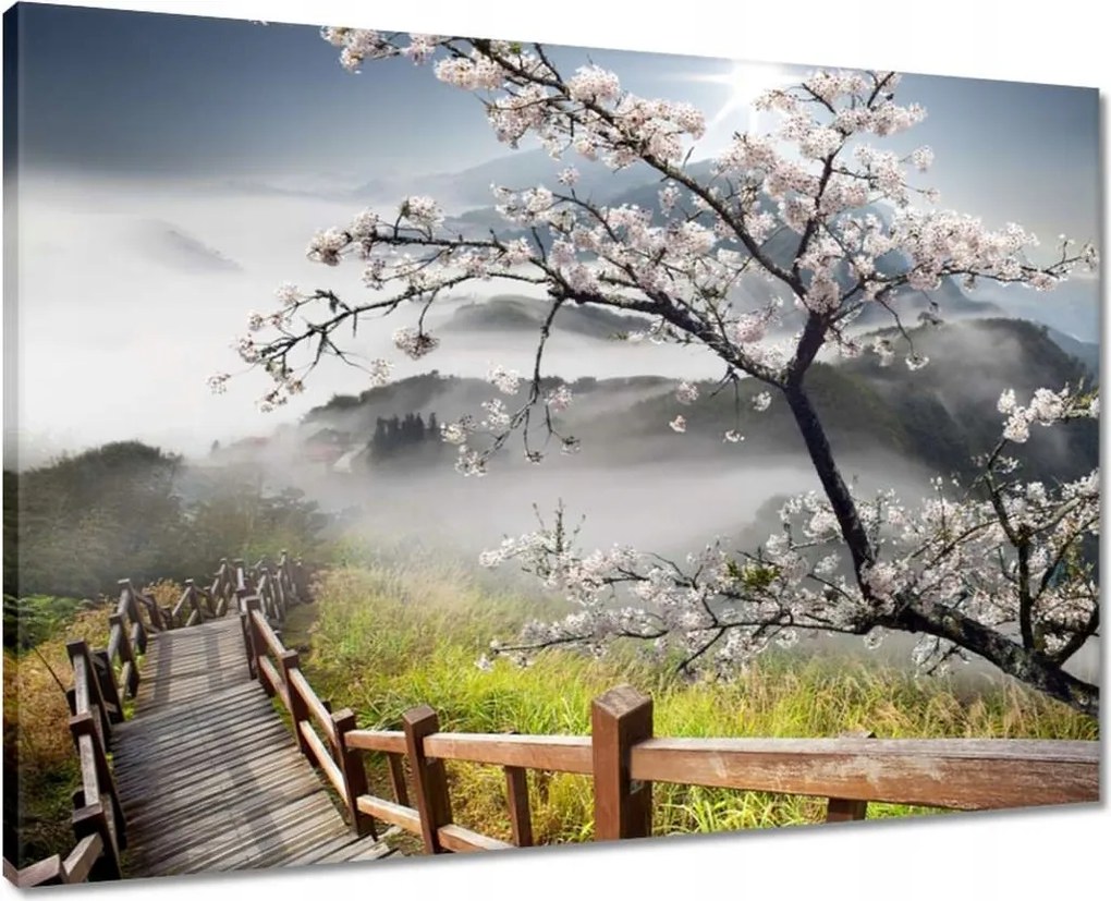 Vászonkép 70x50 Japán Virágzó cseresznye