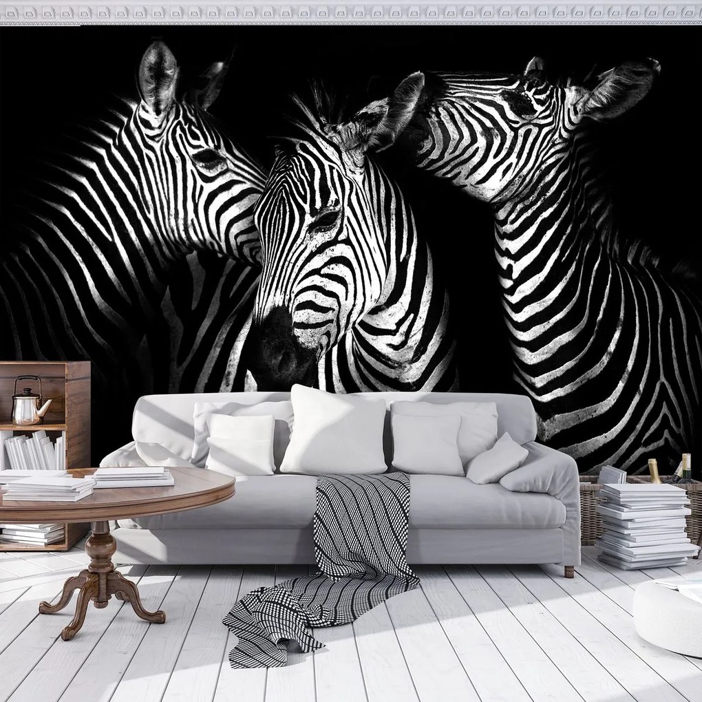 Fotótapéta - Zebra (152,5x104 cm)