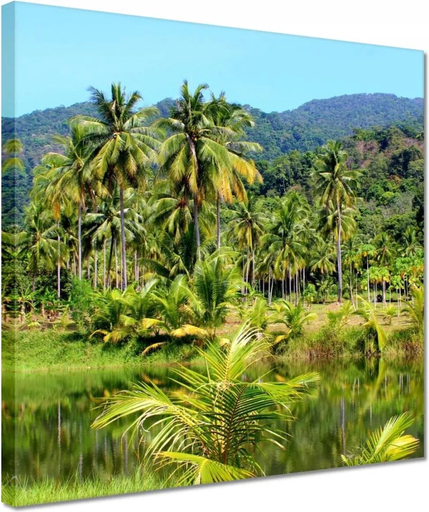 Vászonkép 30x30 Gyönyörű amazon