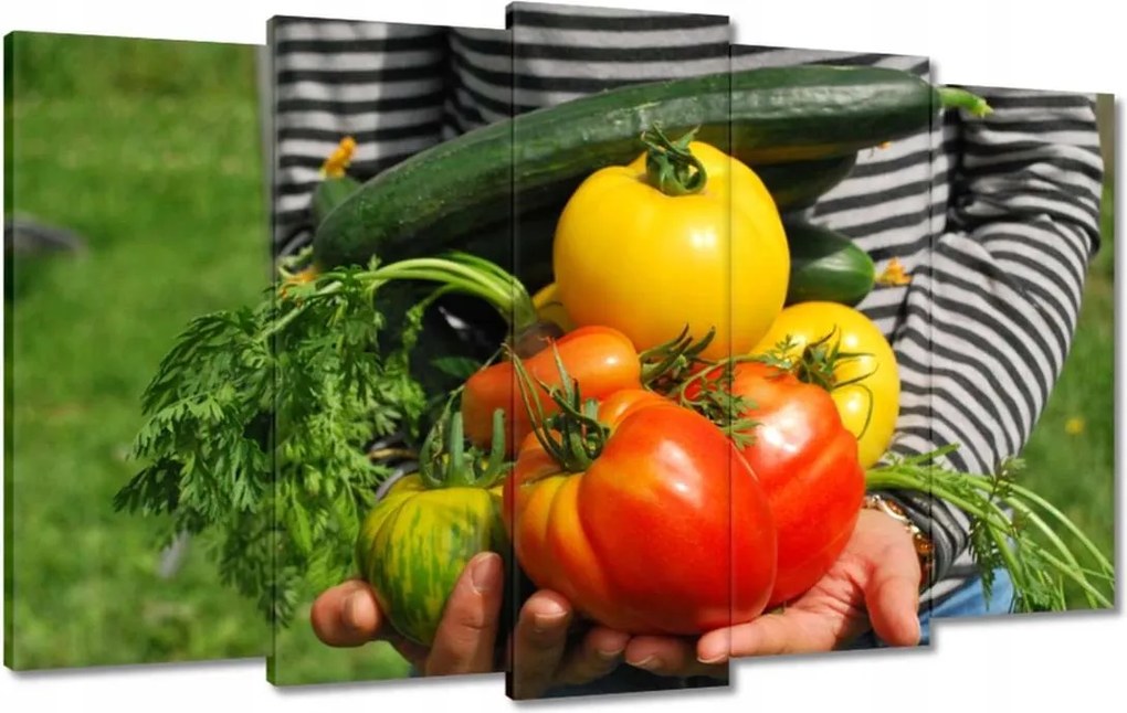 Festmények 100x60 Konyhai képek Forradalmak