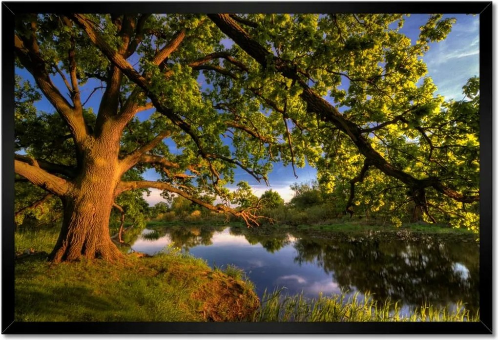 Poszterek keretben 60x40 Tölgy a croissant-ban