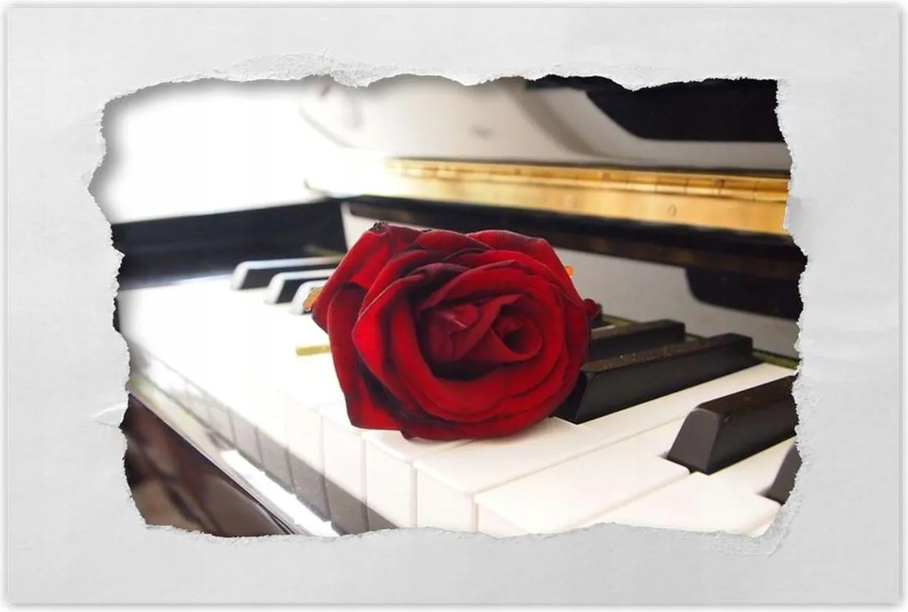 Poszterek 90x60 Különböző zongorák