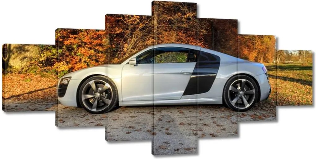 Képek 210x100 Őszi Audi Autó