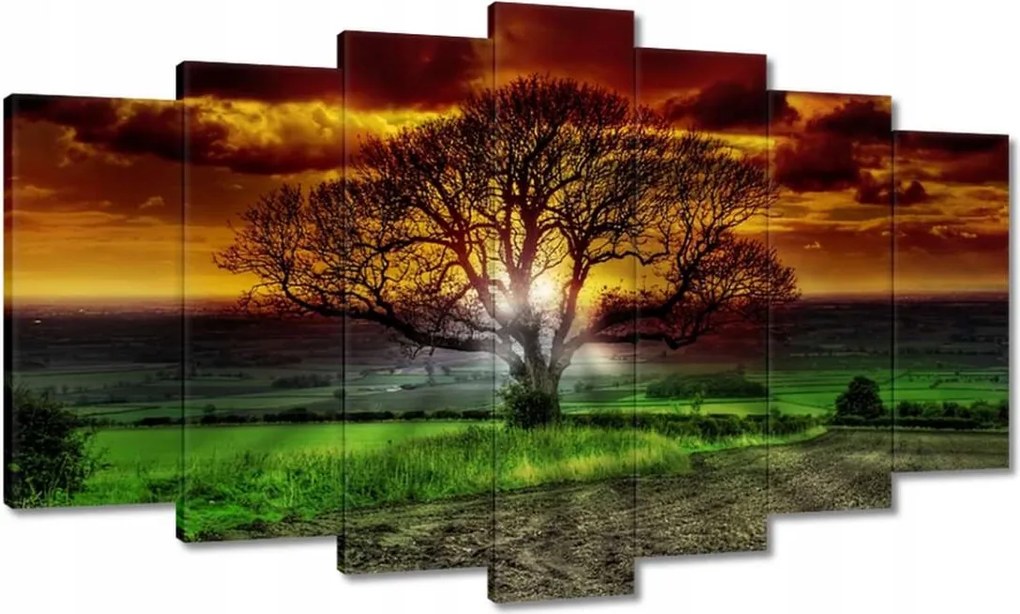Festmények 140x80 Varázslatos fa tájkép
