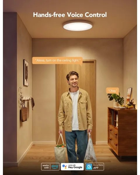 Govee - RGBICWW LED dimmelhető mennyezeti lámpa, 29 W/230 V, átm. 30 cm, matt, Wi‑Fi