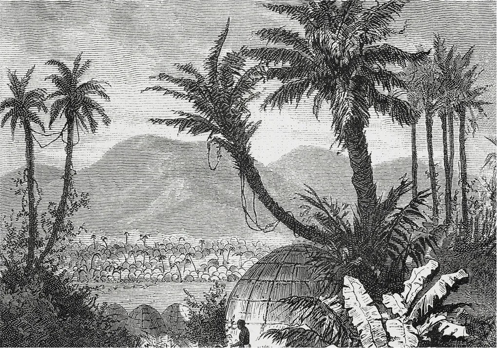 Fotótapéta Flizelin Dekoratív tapéta Trópusi oázis 208x146 Ragasztó