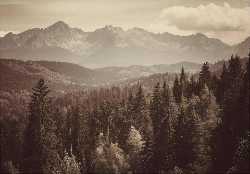 Fotótapéta Erdő Hegyek Táj Hálószoba Nappali Tapéta Flizelina 400x280