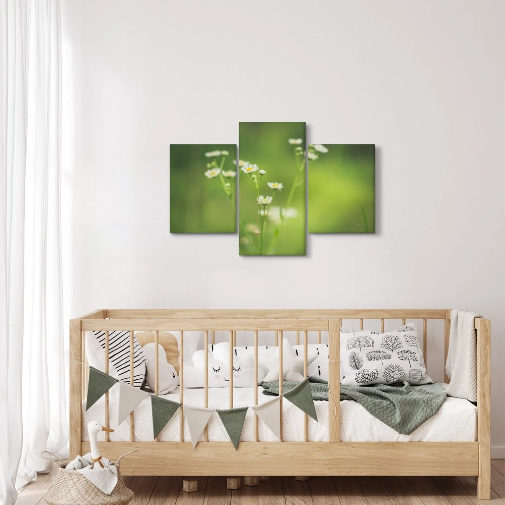 Egy százszorszép képe (90x60 cm)