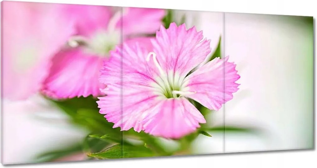 Vászonkép 180x90 Virágok