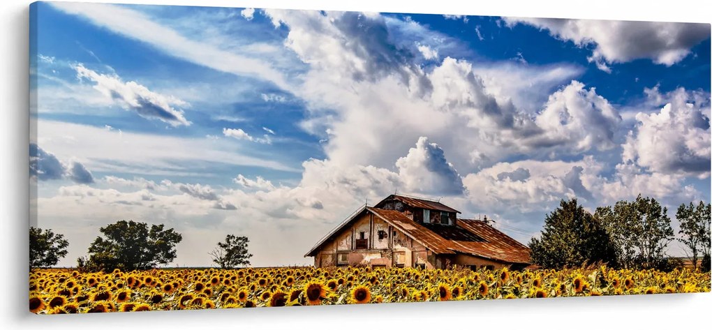 Napraforgó mező képe (120x50 cm)