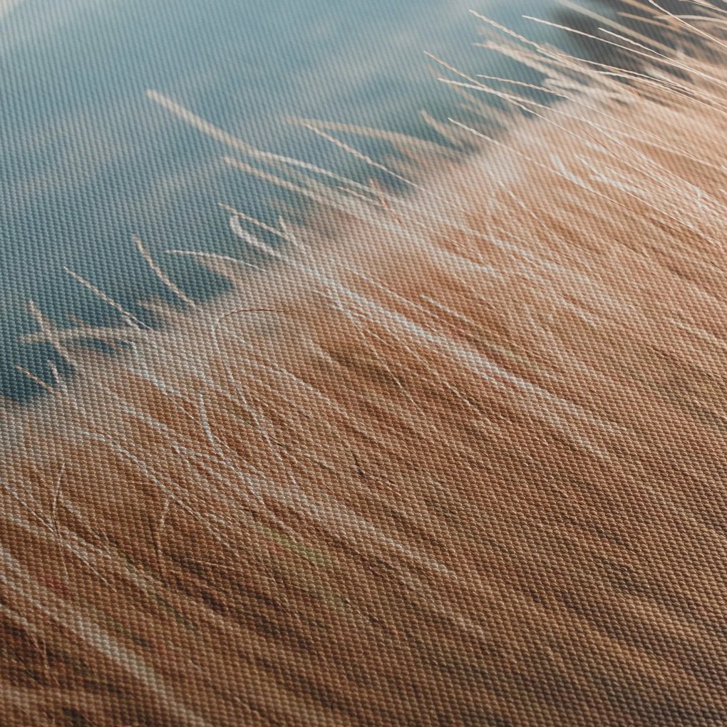 Kép - réti növényzet részlete (120x50 cm)
