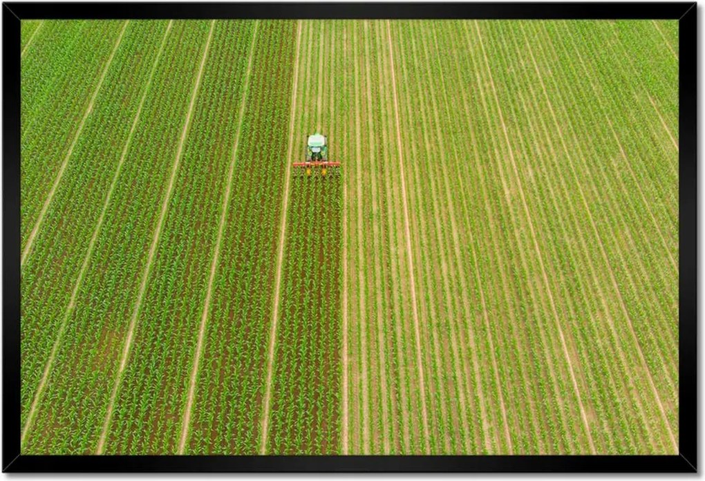 Poszterek keretben 60x40 Mezőgazdaság