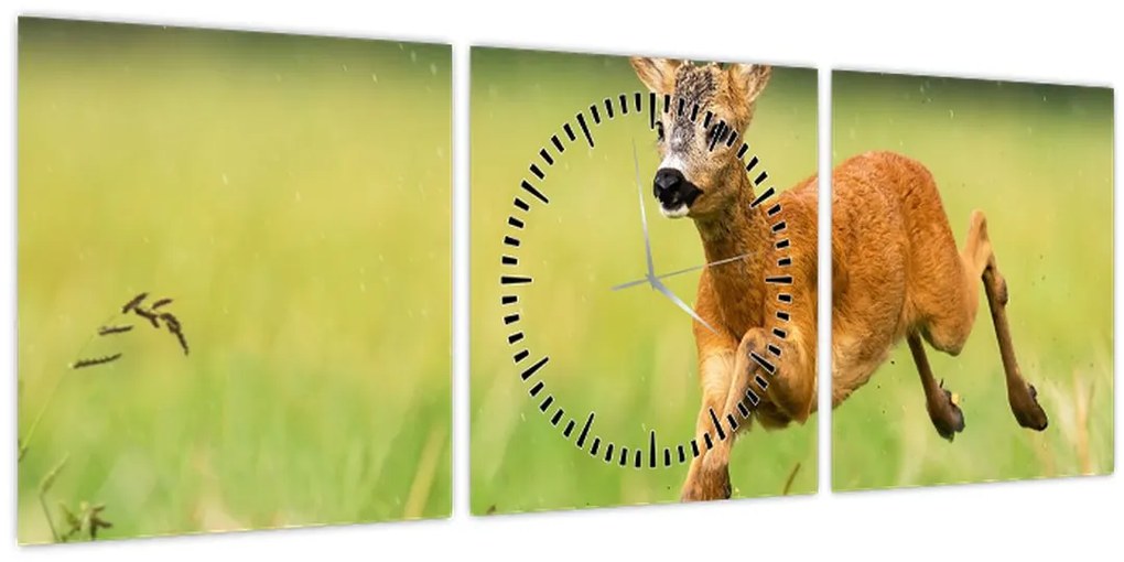 Kép - Őz (órával) (90x30 cm)