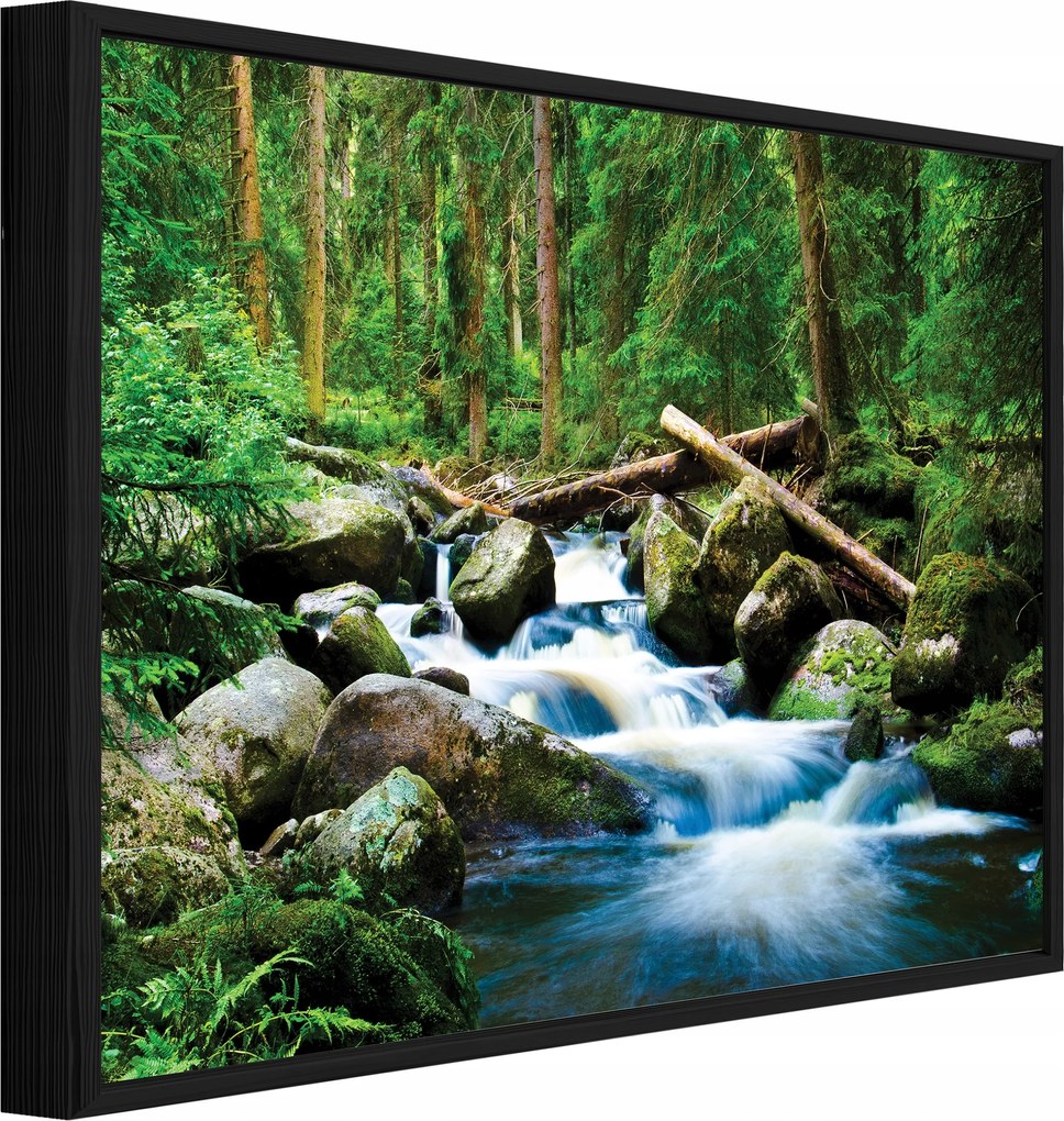 Vászonkép Fekete Keretben Erdő Patak Természet Nappali Hálószoba 40x30