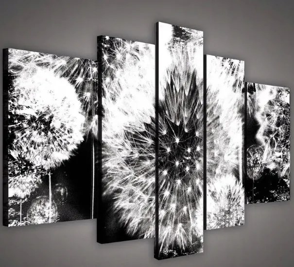 Vászonkép 170x100 Pitypang mag pitypang természet könnyedség modern