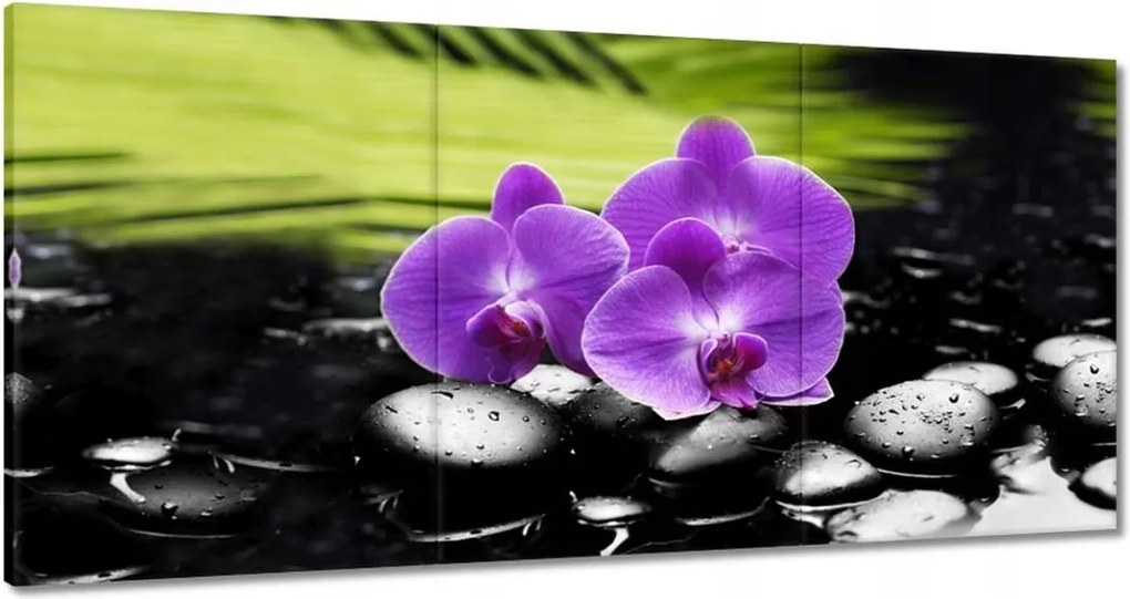 Festmények 120x60 Orchideák a köveken