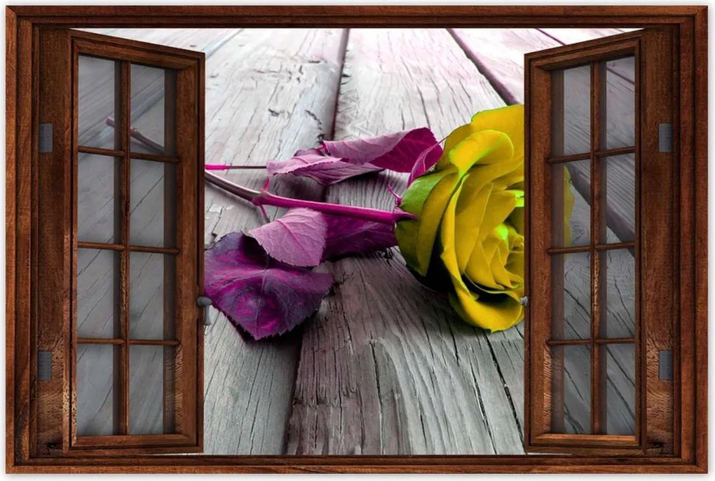 Poszterek 90x60 Freeky rose