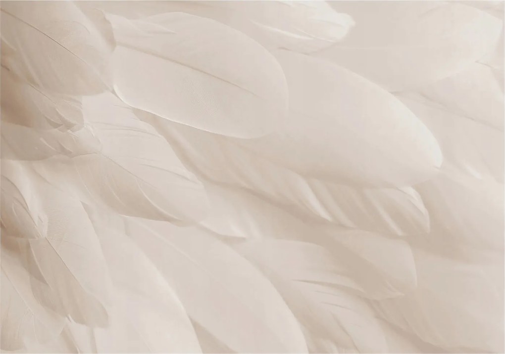 Flizelina Dekoratív Fotótapéta Hálószobába Illóolaj tollak 312x219 Ragasztó