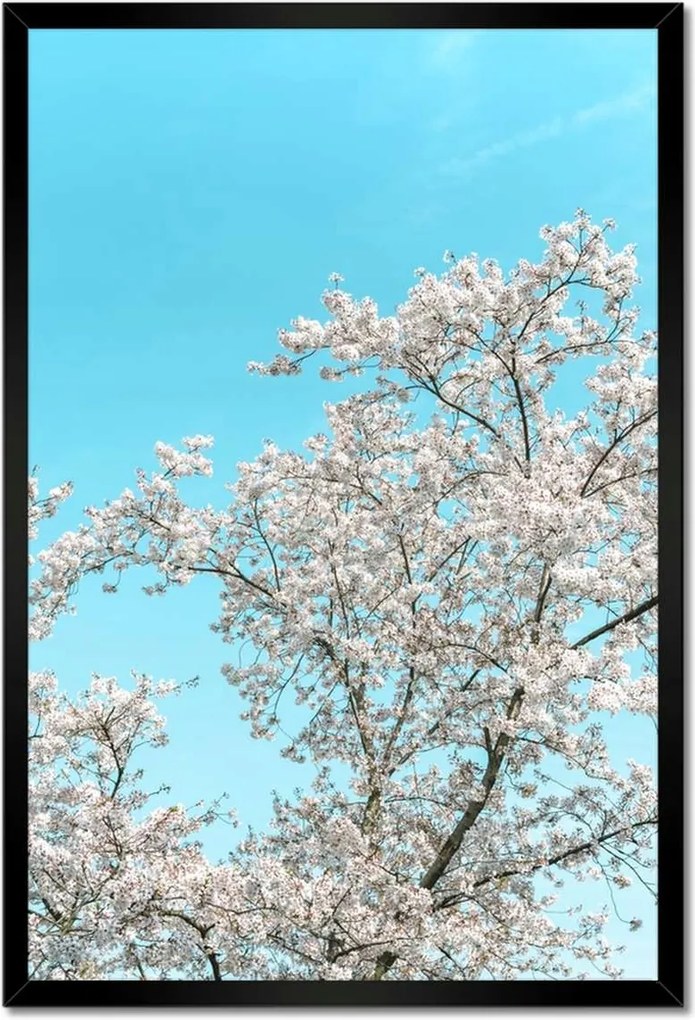 Poszterek keretben 40x60 Finom virágok Tavasz