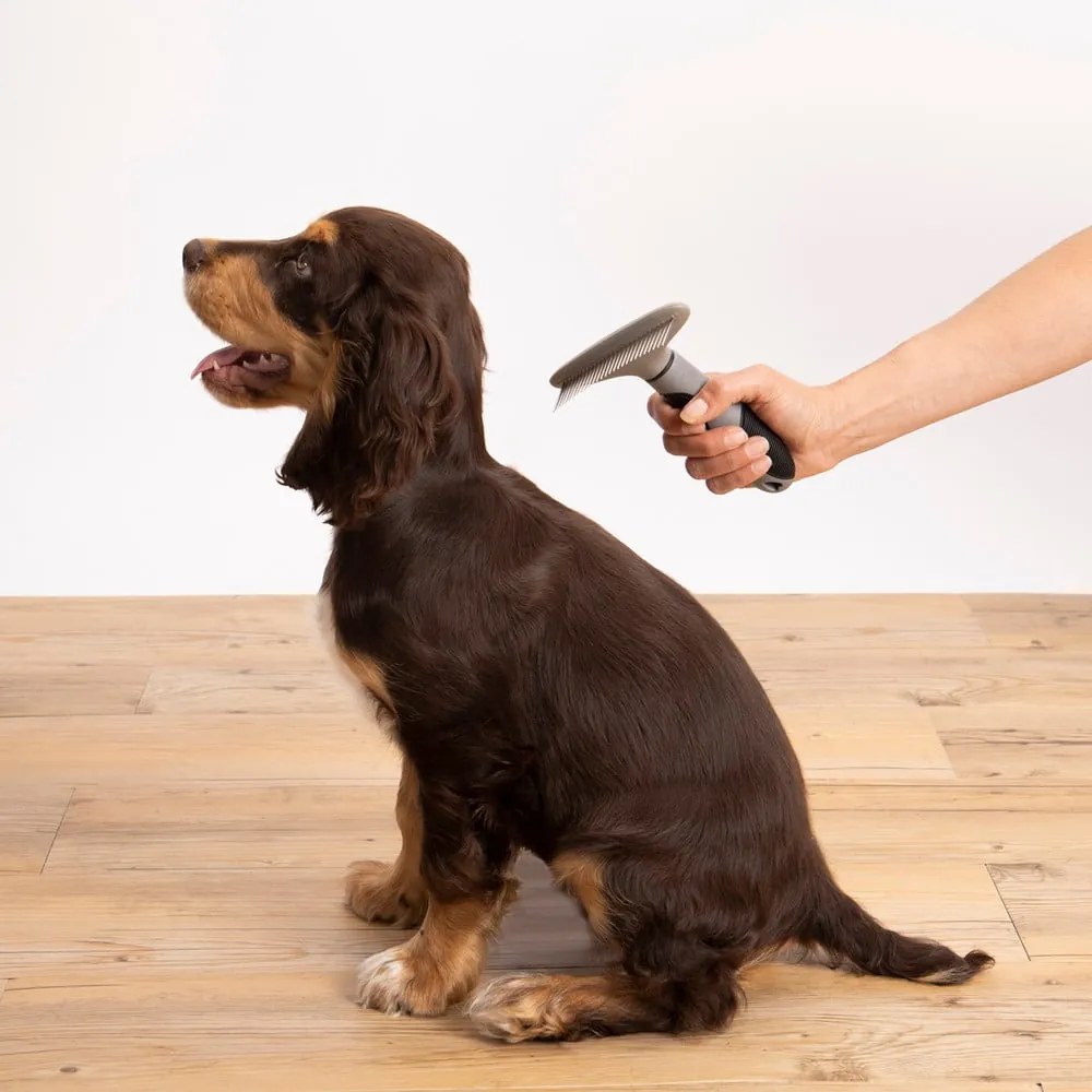 Kisállat kefe – Love Story