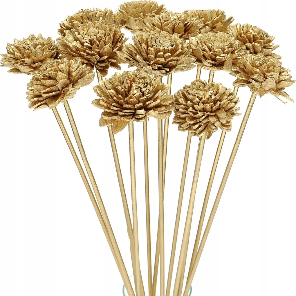 Virág Shola ón arany a csúcson szárított egzotikus szárított virágok dekoráció