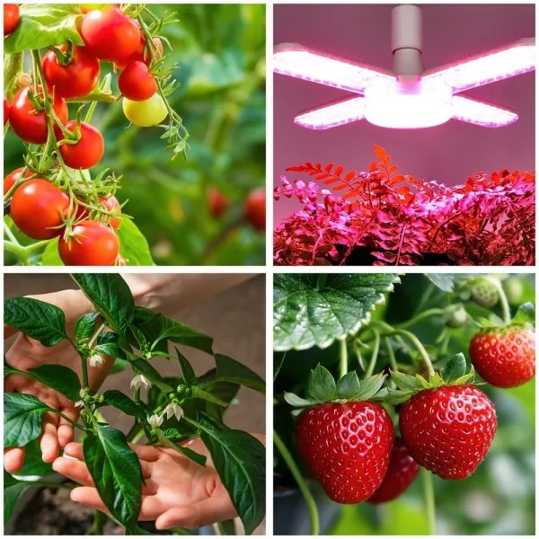 LED Növénynevelő izzó PLANTY E27/40W/230V 1200K